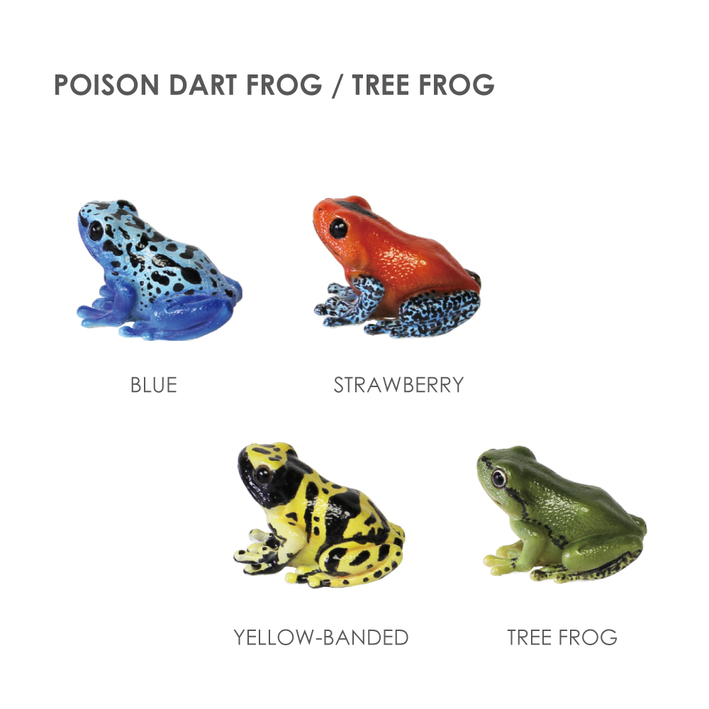 最安値 ☆送料無料☆Poison Frogs of the Family Dendrobatidae 洋書 